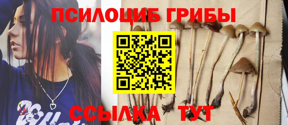 наркотики  Вход с VPN  Россошь  Галлюциногенные грибы Magic Shrooms  Галлюциногенные грибы мухоморы 